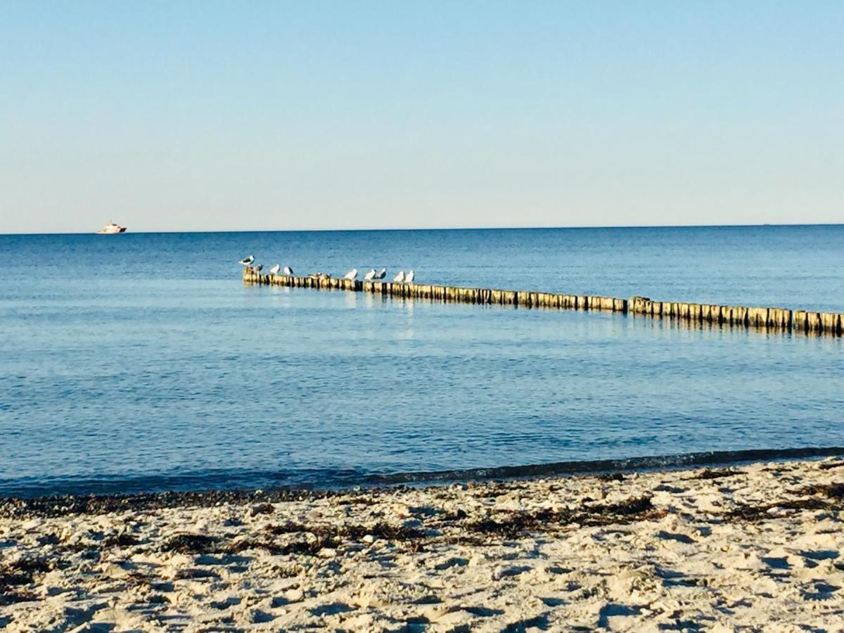 Aparthotel Waterkant Suites - Fewos Am Meer Mit Spa Börgerende-Rethwisch Zewnętrze zdjęcie